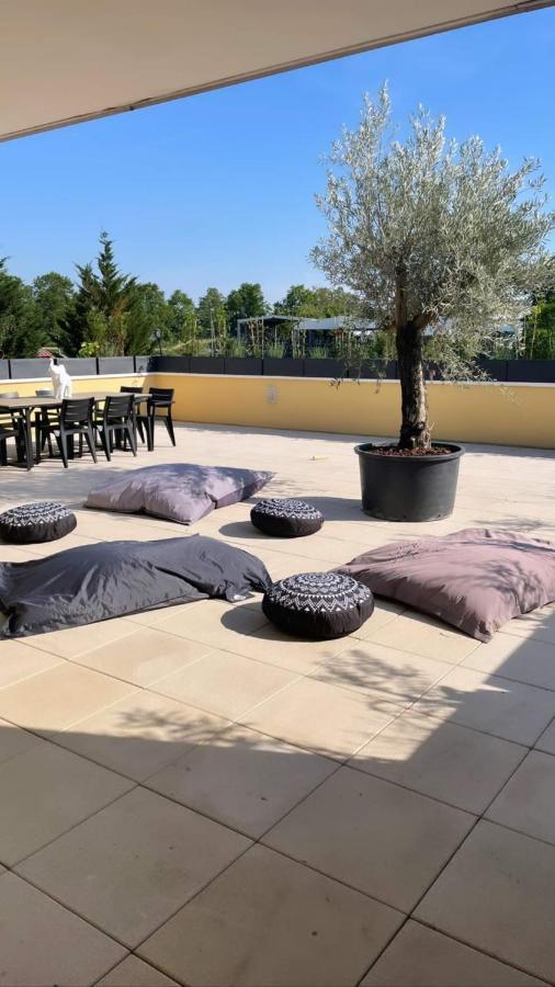 Апартаменты La Terrasse Du Parc Маркольсайм Экстерьер фото